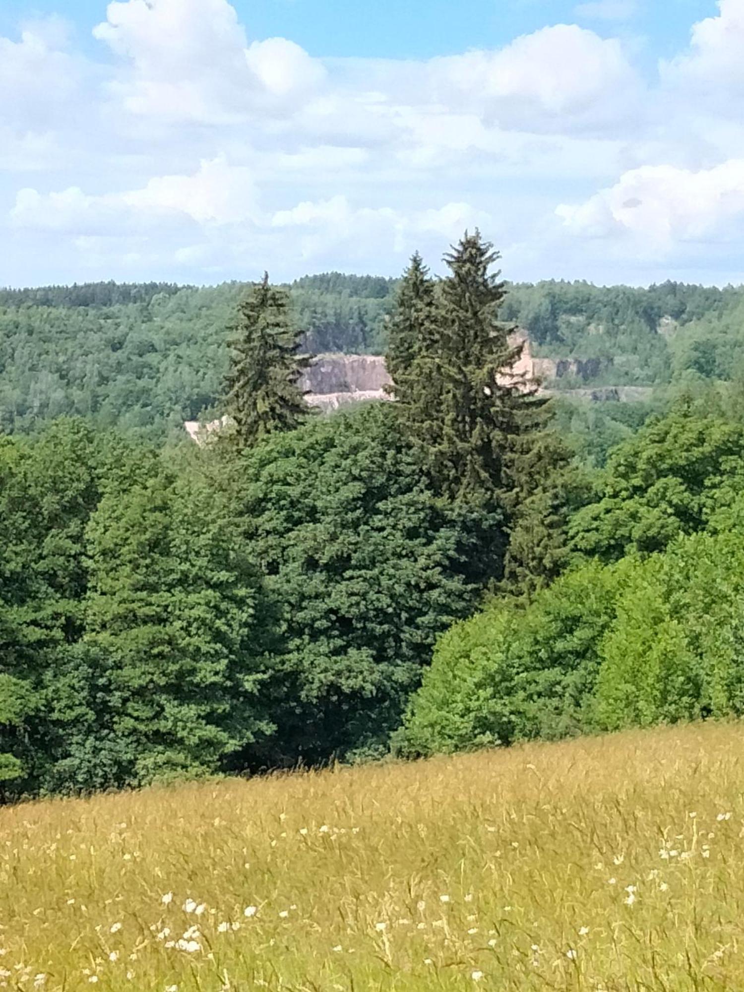 Apartmán Luční apartmán Tymiána Černý Důl Exteriér fotografie